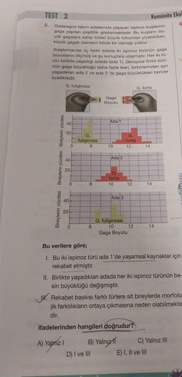 TEST 2
Galapagos takım adalarında yaşayan ispinoz kuşlarının
gaga yapıları çeşitlilik göstermektedir. Bu kuşların bü-
yük gagalara sahip türleri büyük tohumları yiyebilirken,
küçük gagalı olanların böyle bir olanağı yoktur.
5.
Araştırmacılar üç farklı adada iki ispinoz türünün gaga
boyutlarını ölçmüş ve şu sonuçlara ulaşmıştır. Her iki tü-
rün birlikte yaşadığı adada (ada 1), Geospiza fortis türü-
nün gaga büyüklüğü daha fazla iken, birbirlerinden ayrı
yaşadıkları ada 2 ve ada 3 'te gaga büyüklükleri benzer
özelliktedir.
Bireylerin yüzdesi Bireylerin yüzdesi Bireylerin yüzdesi
G. fuliginosa
40
20
40
20
40
A) Yalnız I
20
0
0
0
G.
fuliginosa
8
8
8
Gaga
Boyutu
Ada 1
10
Ada 2
D) I ve III
G.
fortis
10
Ada 3
G. fuliginosa
10
G.
fortis
12
12
Gaga Boyutu
B) Yalnız
12
Komünite Ekol
G. fortis
14
Bu verilere göre;
1. Bu iki ispinoz türü ada 1'de yaşamsal kaynaklar için
rekabet etmiştir.
14
II. Birlikte yaşadıkları adada her iki ispinoz türünün be-
sin büyüklüğü değişmiştir.
14
I. Rekabet baskısı farklı türlere ait bireylerde morfolo
jik farklılıkların ortaya çıkmasına neden olabilmekte
dir.
ifadelerinden hangileri doğrudur?
E) I, II ve III
6
C) Yalnız III