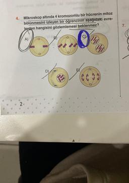 anpirsalong ostul ante to hol
4. Mikroskop altında 4 kromozomlu bir hücrenin mitoz
bölünmesini izleyen bir öğrencinin aşağıdaki evre-
lerden hangisini gözlemlemesi beklenmez?
2
D)
oo
4
E
€5
040
10
AN
7.