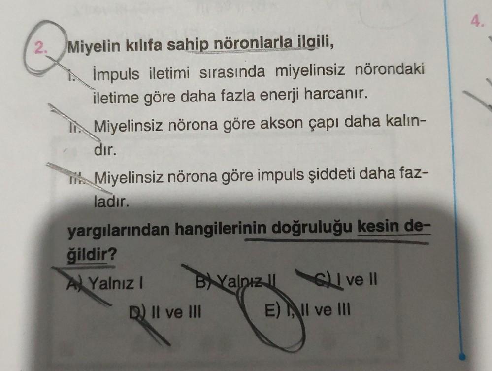 2. Miyelin kılıfa sahip nöronlarla ilgili,
İmpuls iletimi sırasında miyelinsiz nörondaki
iletime göre daha fazla enerji harcanır.
I Miyelinsiz nörona göre akson çapı daha kalın-
dır.
Miyelinsiz nörona göre impuls şiddeti daha faz-
ladır.
yargılarından hang