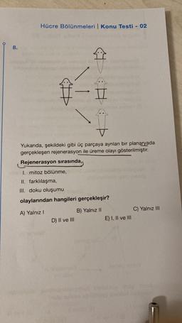 8.
Hücre Bölünmeleri | Konu Testi - 02
Î
->
H
Yukarıda, şekildeki gibi üç parçaya ayrılan bir planaryada
gerçekleşen rejenerasyon ile üreme olayı gösterilmiştir.
Rejenerasyon sırasında,
D) II ve III
I. mitoz bölünme,
II. farklılaşma,
III. doku oluşumu
olaylarından hangileri gerçekleşir?
A) Yalnız I
B) Yalnız II
E) I, II ve III
C) Yalnız III