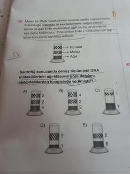 38. Melez bir DNA molekülünün normal azotlu nükleotitlerin
bulunduğu ortamda iki kez bölünmesi sağlandıktan
sonra oluşan DNA molekülleri ağır azotlu ortamda bir
kez daha bölünüyor. Elde edilen DNA molekülleri bir tüp
içine konularak santrifüj ediliyor.
Santrifüj sonucunda deney tüpündeki DNA
moleküllerinin ağırlıklarına göre dağılımı
aşağıdakilerden hangisinde verilmiştir?
B)
A)
224
2
D)
Normal
Melez
Ağır
7
1
422
1/2
E)
2
6
7
40