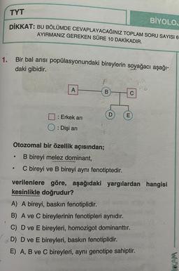 TYT
BİYOLOJ
DİKKAT: BU BÖLÜMDE CEVAPLAYACAĞINIZ TOPLAM SORU SAYISI 6
AYIRMANIZ GEREKEN SÜRE 10 DAKİKADIR.
1.
Bir bal arısı popülasyonundaki bireylerin soyağacı aşağı-
daki gibidir.
A
●
: Erkek arı
O: Dişi arı
B
D
Otozomal bir özellik açısından;
B bireyi melez dominant,
C bireyi ve B bireyi aynı fenotiptedir.
C
E
AA
verilenlere göre, aşağıdaki yargılardan hangisi
kesinlikle doğrudur?
A) A bireyi, baskın fenotiplidir.
B) A ve C bireylerinin fenotipleri aynıdır.
C) D ve E bireyleri, homozigot dominanttır.
D) D ve E bireyleri, baskın fenotiplidir.
E) A, B ve C bireyleri, aynı genotipe sahiptir.
HOCAM