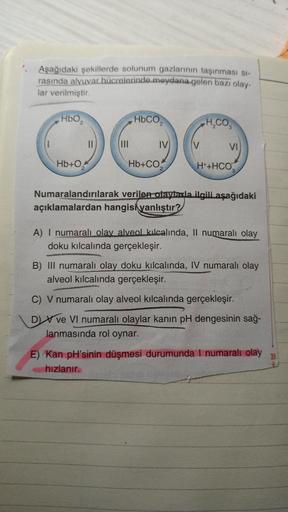 Aşağıdaki şekillerde solunum gazlarının taşınması si-
rasında alyuvar hücrelerinde meydana gelen bazı olay-
lar verilmiştir.
HbO₂
Hb+0₂
||
HbCO,
IV
Hb+CO
V
H₂CO3
VI
H++HCO
3
Numaralandırılarak verilen olaylarla ilgili aşağıdaki
açıklamalardan hangisi yanlı