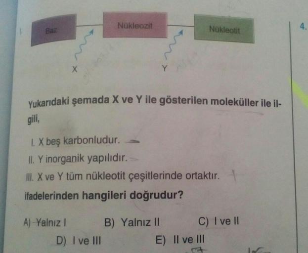 A)-Yalnız I
Nükleozit
D) I ve III
Yukarıdaki şemada X ve Y ile gösterilen moleküller ile il-
gili,
1. X beş karbonludur.
II. Y inorganik yapılıdır.
III. X ve Y tüm nükleotit çeşitlerinde ortaktır.
ifadelerinden hangileri doğrudur?
Y
B) Yalnız II
Nükleotit