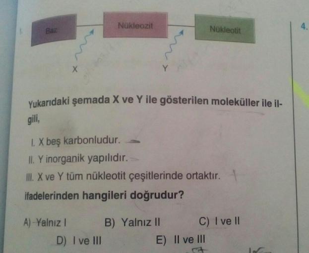 A)-Yalnız I
Nükleozit
D) I ve III
Yukarıdaki şemada X ve Y ile gösterilen moleküller ile il-
gili,
1. X beş karbonludur.
II. Y inorganik yapılıdır.
III. X ve Y tüm nükleotit çeşitlerinde ortaktır.
ifadelerinden hangileri doğrudur?
Y
B) Yalnız II
Nükleotit
