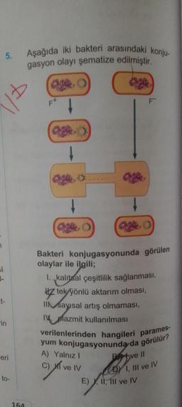 si
1-
5.
t-
in
eri
to-
164
Aşağıda iki bakteri arasındaki konju-
gasyon olayı şematize edilmiştir.
F+
↓
3-
F
Bakteri konjugasyonunda görülen
olaylar ile ilgili;
I. kalıtsal çeşitlilik sağlanması,
tek yönlü aktarım olması,
Il sayısal artış olmaması,
IV. plazmit kullanılması
verilenlerinden hangileri parames-
yum konjugasyonunda da görülür?
A) Yalnız I
C) ve IV
Bbve Il
DY I, III ve IV
E), II, III ve IV