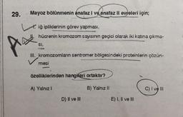 29.
Mayoz bölünmenin anafaz I ve anafaz II evreleri için;
iğ ipliklerinin görev yapması,
hücrenin kromozom sayısının geçici olarak iki katına çıkma-
SI,
III. kromozomların sentromer bölgesindeki proteinlerin çözün-
mesi
özelliklerinden hangileri ortaktır?
B) Yalnız II
A) Yalnız I
D) II ve III
E) I, II ve III
C) I ve III