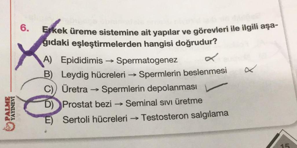 PALME
YAYINEVİ
6.
Erkek üreme sistemine ait yapılar ve görevleri ile ilgili aşa-
ğıdaki eşleştirmelerden hangisi doğrudur?
A) Epididimis Spermatogenez
B) Leydig hücreleri →Spermlerin beslenmesi
Üretra → Spermlerin depolanması
D) Prostat bezi -
→ Seminal sı