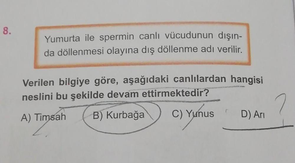 8.
Yumurta ile spermin canlı vücudunun dışın-
da döllenmesi olayına dış döllenme adı verilir.
Verilen bilgiye göre, aşağıdaki canlılardan hangisi
neslini bu şekilde devam ettirmektedir?
A) Timsah B) Kurbağa C) Yunus
F
D) Ari