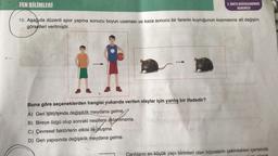 FEN BİLİMLERİ
10. Aşağıda düzenli spor yapma sonucu boyun uzaması ve kaza sonucu bir farenin kuyruğunun kopmasına ait değişim
görselleri verilmiştir.
Buna göre seçeneklerden hangisi yukarıda verilen olaylar için yanlış bir ifadedir?
A) Gen işleyişinde değişiklik meydana gelme
B) Bireye özgü olup sonraki nesillere
C) Çevresel faktörlerin etkisi ile oluşma.
D) Gen yapısında değişiklik meydana gelme.
lantero ofitar
2. ÜNİTE DEĞERLENDİRME
DENEMESİ
aktarmama.
Canlıların en küçük yapı birimleri olan hücrelerin çekirdekleri içerisinde