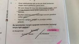 el
YAYINLARI
6.
●
Divan edebiyatında üçlü ya da çok dizeli bentlerden
oluşan nazım şekillerinin genel adıdır.
Bir uzun dizeye bir kısa dize eklenmesiyle oluşan, uzun
ve kısa dizelerin kendi içinde uyaklandığı bir nazım
biçimidir.
Beyitleri arasında anlam bütünlüğü bulunan gazellere
verilen addır.
Tanrı'nın varlığını, birliğini ve yüceliğini anlatan
şiirlerdir.
Bu tanımlardan hangisi aşağıdaki terimlerden herhangi
biriyle ilgili değildir?
A) Musammat
C) Hamse
B) Tevhit
DYOR
D) Yek-âhenken) Müstezat