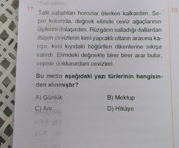 17.
den almin
Tatil sabahları horozlar öterken kalkardım. Se-
pet kolumda, değnek elimde ceviz ağaçlarının
diplerini dolaşırdım. Rüzgârın salladığı dallardan
düşen cevizlerin kimi yapraklı otların arasına ka-
rışır, kimi kıyıdaki böğürtlen dikenlerine sıkışır
kalırdı. Elimdeki değnekle birer birer arar bulur,
sepete doldururdum cevizleri.
Bu metin aşağıdaki yazı türlerinin hangisin-
den alınmıştır?
A) Günlük
DARUS
C) Ani
pp 900
x 2021
B) Mektup
D) Hikâye
19.