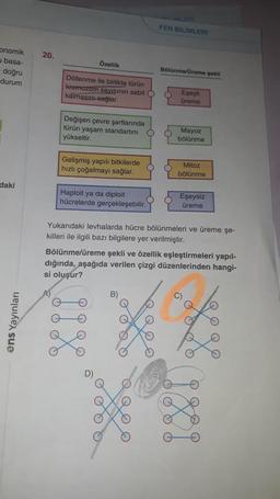 onomik
ubasa-
doğru
durum
daki
ens Yayınları
20.
Özellik
Döllenme ile birlikte türün
kremozom sayısının sabit O
kalmasını sağlar.
Değişen çevre şartlarında
türün yaşam standartını
yükseltir.
Gelişmiş yapılı bitkilerde
hızlı çoğalmayı sağlar.
Haploit ya da diploit
hücrelerde gerçekleşebilir.
¡¡
FEN BİLİMLERİ
Bölünme/Üreme şekli
B)
O
Eşeyli
üreme
Mayoz
bölünme
Mitoz
bölünme
Yukarıdaki levhalarda hücre bölünmeleri ve üreme şe-
killeri ile ilgili bazı bilgilere yer verilmiştir.
Eşeysiz
üreme
Bölünme/üreme şekli ve özellik eşleştirmeleri yapıl-
dığında, aşağıda verilen çizgi düzenlerinden hangi-
si oluşur?
god