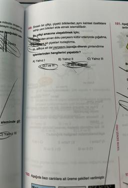 a mitozla oluşan ç
bireyin oluşmasıdır.
ma aşağıdaki can-
Hydra
aleminde gö
C)Yalnız III
149. Sivaslı bir çiftçi, çiçekli bitkilerden aynı kalıtsal özelliklere
sahip yeni bitkileri elde etmek istemektedir.
ogled
Bu çiftçi amacına ulaşabilmek için;
kiden alınan doku parçasını kültür ortamında çoğaltma,
bitkiye ait çiçekleri tozlaştırma,
Il bitkiye ait dal parçasını toprağa dikerek çimlendirme
işlemlerinden hangilerini yapabilir?
B) Yalnız II
A) Yalnız I
D) I ve III
H
C) Yalnız III
100
am ch
loviento abonalne Is ill
I senday (A
150. Aşağıda bazı canlılara ait üreme şekilleri verilmiştir.
151. Aşağ
terilm
YAYIN DENİZİ PRO
D
B
A
E
15