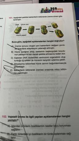 SAYISI:
lere
ma,
151. Aşağıdaki şekilde bakterilerin bölünerek üreme süreci gös-
terilmiştir.
DNA Hücre zarı
-
Hücre çeperi
259ORUDA
BİYOLOJİ
1
Buna göre, aşağıdaki açıklamalardan hangisi doğrudur?
A) Üreme sonucu oluşan yeni bakterilerin değişen çevre-
sel koşullara adaptasyon yeteneği artmıştır.
B) Hücre içeriğinin artışı, bakterinin başlangıçtaki boyutu-
nun yaklaşık iki katı olacak şekilde artmasına neden olur.
C) Eşlenen DNA molekülleri sentrozom organelinin oluş-
turduğu iğ iplikleri ile hücrenin karşılıklı uçlarına çekilir.
B) Sitoplazma bölünmesi hücre zarının boğumlanmasıyla
gerçekleşir.
E) Bakterilerin bölünerek üremesi sırasında mitoz bölün-
me yapılmıştır.
152. Vejetatif üreme ile ilgili yapılan açıklamalardan hangisi
yanlıştır?
Aistenilen ürünlerin özelliklerinin nesiller boyu korunması
sağlanır.
B) Farklı türlerdeki iyi özelliklerin bir türde oplanması sağ
lanır.