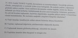 35. 2016 Aralık TEOGO Yaşlılık, kavramların en somutlarındandır. Gerçekliği yüzlerde,
ellerde, yürüyüşlerde ve seslerde iyiden iyiye belirgindir. Bu nedenle yaşlılar, çoğumuzun
gözünde sadece yaşlıdır. Oysa yaşlıların davranışları sıradan değildir, sözleri de. Biriyle
laflamak için firsat kollarlar, bulduklarında da uzun uzun konuşurlar. Gelmişten, geçmişten...
En çok da bozulan toplumdan, kaybolan değerlerden, saygıdan şikâyet ederler ve kaçınılmaz
olarak hastalıklardan. Bu metinden aşağıdaki yargıların hangisine ulaşılamaz?
A) Yaşlı insanlar, kendileriyle sohbet edecek birilerine ihtiyaç hissederler.
B) Yaşlılar, toplumsal değerlerin yitirilmesinden rahatsızlık duyarlar.
C) Yaşlanmak insanın gözlemleyebileceği, izlenebilir bir süreçtir.
D) Yaşlılıkta insanlar daha duygusal ve alıngan olur.