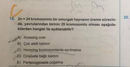 &
c
18. 2n = 24 kromozomlu bir omurgalı hayvanın üreme sürecin-
de, yavrularından birinin 25 kromozomlu olması aşağıda-
kilerden hangisi ile açıklanabilir?
8
A) Krossing over
B) Çok alelli kalıtım
C) Homolog kromozomlarda ayrılmama
D) Cinsiyete bağlı kalıtım
E) Partenogenezle çoğalma
20.