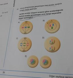 kısmı hidrofil
C) I ve III
31
KARAAĞA
17. Hücre döngüsünde gerçekleşen bazı evreler aşağıda
karışık olarak verilmiştir.
Verilen evreler oluşum sırasına göre sıralandığında
üçüncü sırada gerçekleşen evre hangi seçenekte
doğru verilmiştir?
A)
C)
E)
·X.
B)
D)
XX
X
2
Diğer sayfaya geçiniz