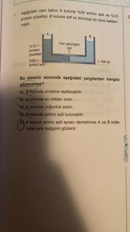 1. Aşağıdaki cam kabin A koluna %20 amino asit ve %10
protein çözeltisi, B koluna saf su konulup bir süre beklen-
miştir.
%10-
protein
çözeltisi
%20
amino asit
Yarı geçirgen
zar
Saf su
insway
Bu sürenin sonunda aşağıdaki yargılardan hangisi
gözlenemez? lo gita
A) B kolunda proteine rastlanabilir.
BA kolunda su miktarı artar. the
SA kolunda yoğunluk azalır.
DB kolunda amino asit bulunabilir.
010
E) A koluna amino asit ayracı damlatılırsa A ve B kolla-
rinda renk değişimi gözlenir.
BENİM HOCAM
2