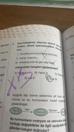 alkol kul-
besin ve
gelişe-
en alyu-
bilir?
n-
ve
9.
sperma
Spermatogenez olayında birincil
tositler, ikincil spermatositlere dönüş
ken,
I. homolog kromozomlárın ayrılması,
II. kamçı oluşumu,
III. krossing over ile gen alış verişi
olaylarından hangileri gözlenemez?
B) Yalnız II
A) Yalnız I
D) I ve II
Hipofiz
FSH
C) Yalnız
10. Aşağıda dişi üreme sistemine ait bazı hor-
monlar ve bu hormonların hedef organlan
gösterilmiştir.
Ovaryum
ke III
10. Uni
Östrojen
Uterus
Bu hormonların ovaryum ve uterusta oluş
turduğu değişiklikler ile ilgili aşağıdaki bil
gilerden hangisi doğrudur?
Sağ
ile
1.
2.