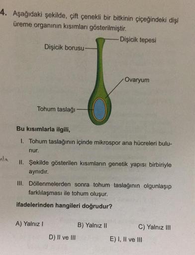 4. Aşağıdaki şekilde, çift çenekli bir bitkinin çiçeğindeki dişi
üreme organının kısımları gösterilmiştir.
Dişicik borusu-
Tohum taslağı
Bu kısımlarla ilgili,
1. Tohum taslağının içinde mikrospor ana hücreleri bulu-
nur.
A) Yalnız I
Dişicik tepesi
II. Şeki