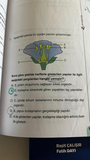 7. Aşağıdaki şekilde bir çiçeğin yapıları gösterilmiştir.
E
D
A
B
- C
endemik-
Buna göre şekilde harflerle gösterilen yapılar ile ilgili
aşağıdaki yargılardan hangisi yanlıştır?
A) E, polen oluşumunu sağlayan erkek organdır.
B) D, tozlaşma sürecinde görev