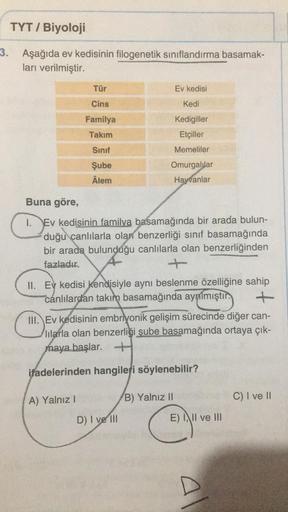 TYT / Biyoloji
3. Aşağıda ev kedisinin filogenetik sınıflandırma basamak-
ları verilmiştir.
Tür
Cins
Familya
Takım
Sınıf
Şube
Âlem
A) Yalnız I
Buna göre,
1. Ev kedisinin familya basamağında bir arada bulun-
duğu canlılarla olan benzerliği sınıf basamağında