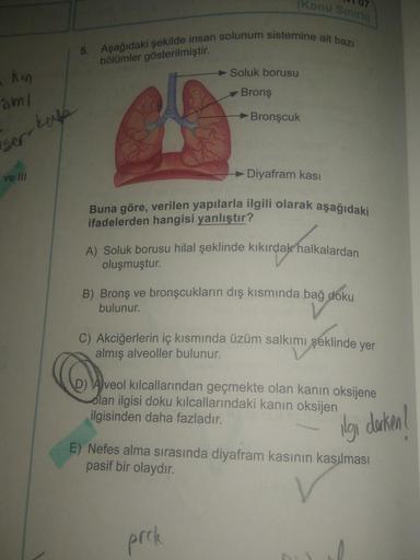 akan
am/
ser
ve III
kafe
(Konu Sınırlı)
5. Aşağıdaki şekilde insan solunum sistemine ait bazi
bölümler gösterilmiştir.
Soluk borusu
Bronş
Bronşcuk
Diyafram kası
Buna göre, verilen yapılarla ilgili olarak aşağıdaki
ifadelerden hangisi yanlıştır?
arday halka