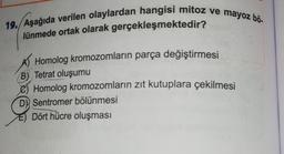 19. Aşağıda verilen olaylardan hangisi mitoz ve mayoz bö
lünmede ortak olarak
gerçekleşmektedir?
A Homolog kromozomların parça değiştirmesi
B) Tetrat oluşumu
Homolog kromozomların zıt kutuplara çekilmesi
D Sentromer bölünmesi
E) Dört hücre oluşması