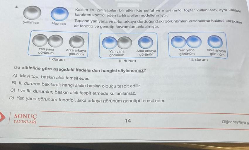 Şeffaf top
Mavi top
SONUÇ
YAYINLARI
Yan yana
görünüm
I. durum
Kalıtım ile ilgili yapılan bir etkinlikte şeffaf ve mavi renkli toplar kullanılarak aynı kalıtsal
karakteri kontrol eden farklı aleller modellenmiştir.
Topların yan yana ve arka arkaya durduğund