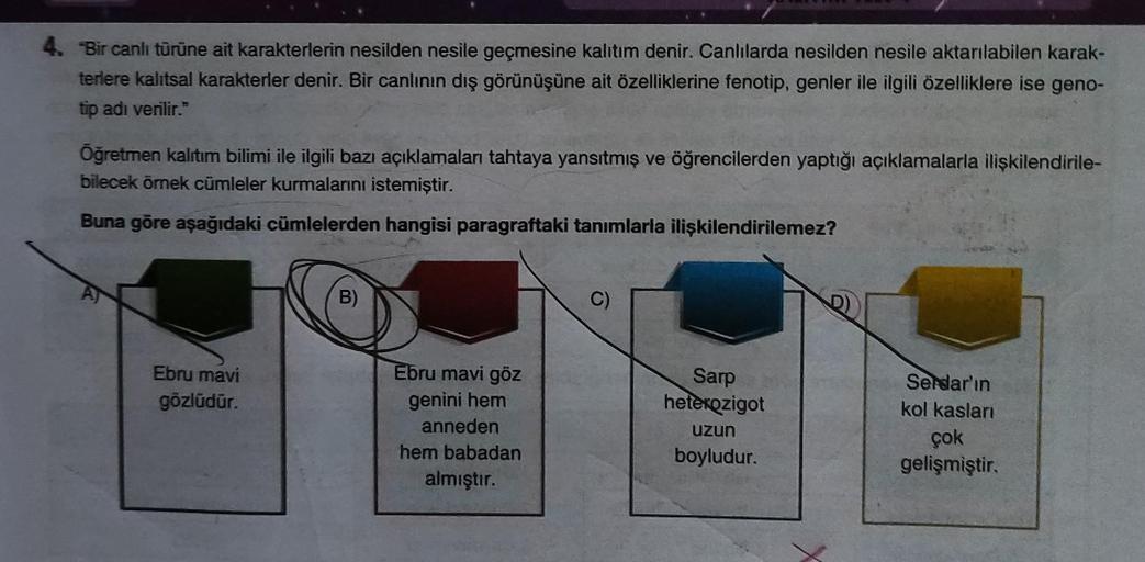 4. Bir canlı türüne ait karakterlerin nesilden nesile geçmesine kalıtım denir. Canlılarda nesilden nesile aktarılabilen karak-
terlere kalıtsal karakterler denir. Bir canlının dış görünüşüne ait özelliklerine fenotip, genler ile ilgili özelliklere ise geno