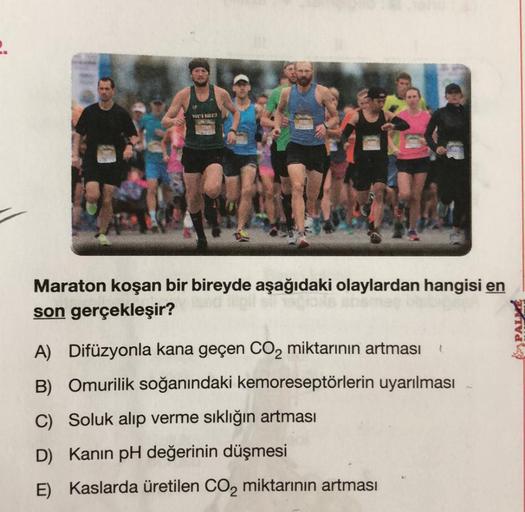 NEXTS BALLER
S
Maraton koşan bir bireyde aşağıdaki olaylardan hangisi en
son gerçekleşir?
A) Difüzyonla kana geçen CO₂ miktarının artması
B) Omurilik soğanındaki kemoreseptörlerin uyarılması
C) Soluk alıp verme sıklığın artması
D) Kanin pH değerinin düşmes