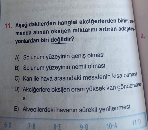 11. Aşağıdakilerden hangisi akciğerlerden birim za-
manda alınan oksijen miktarını artıran adaptas-
yonlardan biri değildir?
6-D
A) Solunum yüzeyinin geniş olması
B) Solunum yüzeyinin nemli olması
C) Kan ile hava arasındaki mesafenin kısa olması
D) Akciğer