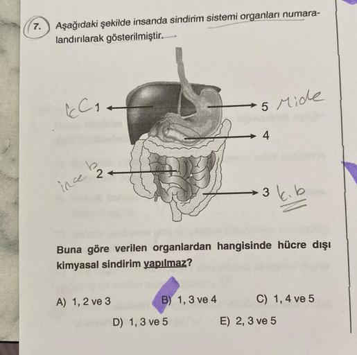 7.
Aşağıdaki şekilde insanda sindirim sistemi organları numara-
landırılarak gösterilmiştir.
CC₁
ince
2
A) 1, 2 ve 3
B) 1,3 ve 4
5 Mide
Buna göre verilen organlardan hangisinde hücre dışı
kimyasal sindirim yapılmaz?
D) 1,3 ve 5
3
kib
C) 1,4 ve 5
E) 2, 3 ve