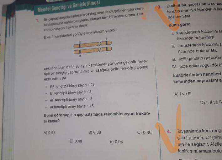 Mendel Genetiği ve Genişletilmesi
1. Bir çaprazlamada sadece krossing over ile oluşabilen gen kom-
binasyonuna sahip bireylerin, oluşan tüm bireylere oranına re-
kombinasyon frekansı denir.
E ve F karakterleri yönüyle kromozom yapısı;
E
●
EF fenotipli bire