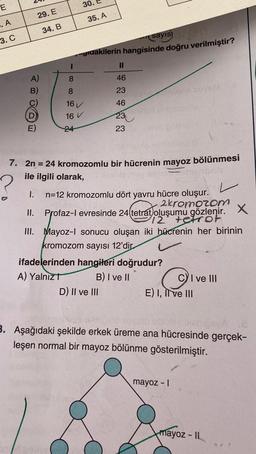 E
..A
3. C
29. E
34. B
88
II.
30.
24
16
16 V
35. A
Sayıs) rop
gıdakilerin hangisinde doğru verilmiştir?
7. 2n = 24 kromozomlu bir hücrenin mayoz bölünmesi
ile ilgili olarak,
I.
11
46
23
46
23
23
n=12 kromozomlu dört yavru hücre oluşur.
2kromozom
Profaz-l evresinde 24 (tetrat oluşumu gözlenir.
Profaz-1
12 tetrot
X
III. Mayoz-l sonucu oluşan iki hücrenin her birinin
kromozom sayısı 12'dir
ifadelerinden hangileri doğrudur?
A) Yalnız t
B) I ve II
D) II ve III
CI ve III
E) I, II ve III
Mebige A
3. Aşağıdaki şekilde erkek üreme ana hücresinde gerçek-
leşen normal bir mayoz bölünme gösterilmiştir.
mayoz - I
mayoz-II