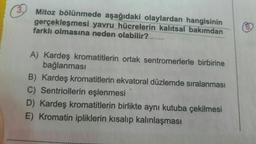 3.
Mitoz bölünmede aşağıdaki olaylardan hangisinin
gerçekleşmesi yavru hücrelerin kalıtsal bakımdan
farklı olmasına neden olabilir?
A) Kardeş kromatitlerin ortak sentromerlerle birbirine
bağlanması
B) Kardeş kromatitlerin ekvatoral düzlemde sıralanması
C) Sentriollerin eşlenmesi
D) Kardeş kromatitlerin birlikte aynı kutuba çekilmesi
E) Kromatin ipliklerin kısalıp kalınlaşması