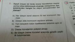 7.
Eşeyli üreyen bir türde üreme hücrelerinin mayoz
yerine mitoz bölünmeyle oluştuğu varsayılırsa, aşa-
ğıdakilerden hangisi bu olayın sonuçlarından biri
olamaz?
A) Her bireyin kendi atasının iki katı kromozom taşı-
masi
B) Dölden döle kromozom sayısının artması
C) Tüm bireylerin bütün özelliklerinin birbirinin aynı ol-
ması
D) Üreme hücrelerinin poliploit olması
E) Bir bireyin üreme hücreleri arasında genetik çeşitli-
lik bulunmaması
10 Farklı
1.
ID
tra
k
III. t
IV.
ola
ge
A