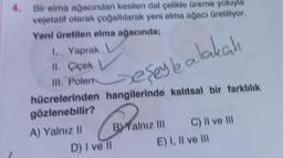 4.
Bir elma ağacından kesilen dal çelikle üreme yoluyla
vejetatif olarak çoğaltılarak yeni elma ağacı üretiliyor.
Yeni üretilen elma ağacında;
1. Yaprak
II. Çiçek
III. Polem
hücrelerinden hangilerinde kalıtsal bir farklılık
peşey kalakah
gözlenebilir?
A) Yalnız II
D) I ve Il
B) Yalnız III
C) II ve III
E) I, II ve III