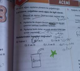 t;
BE
BE
ir?
iz III
22
bir
Bir ceviz ağacı aşılama yöntemi ile çoğaltılmıştır.
5 yıl sonra; çoğaltılan ceviz ağacı ile ilgili olarak;
1. Meyve ve aşının DNA'larındaki kalıtsal bilgi
aynıdır.
eşeysi 2
II. Aşılama ile oluşan cevizin tohumu ve aşı par-
çasının kalıtsal özellikleri farklıdır.
ACEMİ
III. Aşılama farklı türler ve uzak akraba türler ara-
sında yapılabilir.
Ayni vega
ifadelerinden hangileri doğrudur? York in
B ve Il
A) Yalnız I
D) II ve III
Anca
E) I, II ve III
3. Aşağıda, üç
C) I ve III Türler
aresinde
olur
Üreme
Yumurta,
Sperm
Zigc
fee
Yo
h
r