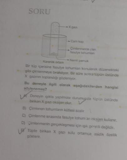 SORU
Xe
Nemli pamuk
Karanlik ortam
Bir tüp içerisine fasulye tohumlan konularak düzenekteki
gibi çimlenmeye brakiyor. Bir süre sonra tüpün üstünde
X gazının toplandığı gözleniyor.
Bu deneyle ilgili olarak aşağıdakilerden hangisi
söylenemez?
LAY
Deneyin şık