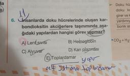 da
a-
6. Unsanlarda doku hücrelerinde oluşan kar-
bondioksitin akciğerlere taşınımında aşa-
ğıdaki yapılardan hangisi görev yapmaz?
A) Lent SIVISI
C) Alyuvar
B) Hemoglobin
D) Kan plazmásı
> Doku hü
doku ki
girer ve k
yardımıy
bonik as
•CO2+H2
E Toplardamar yopo
at ist ang top budama