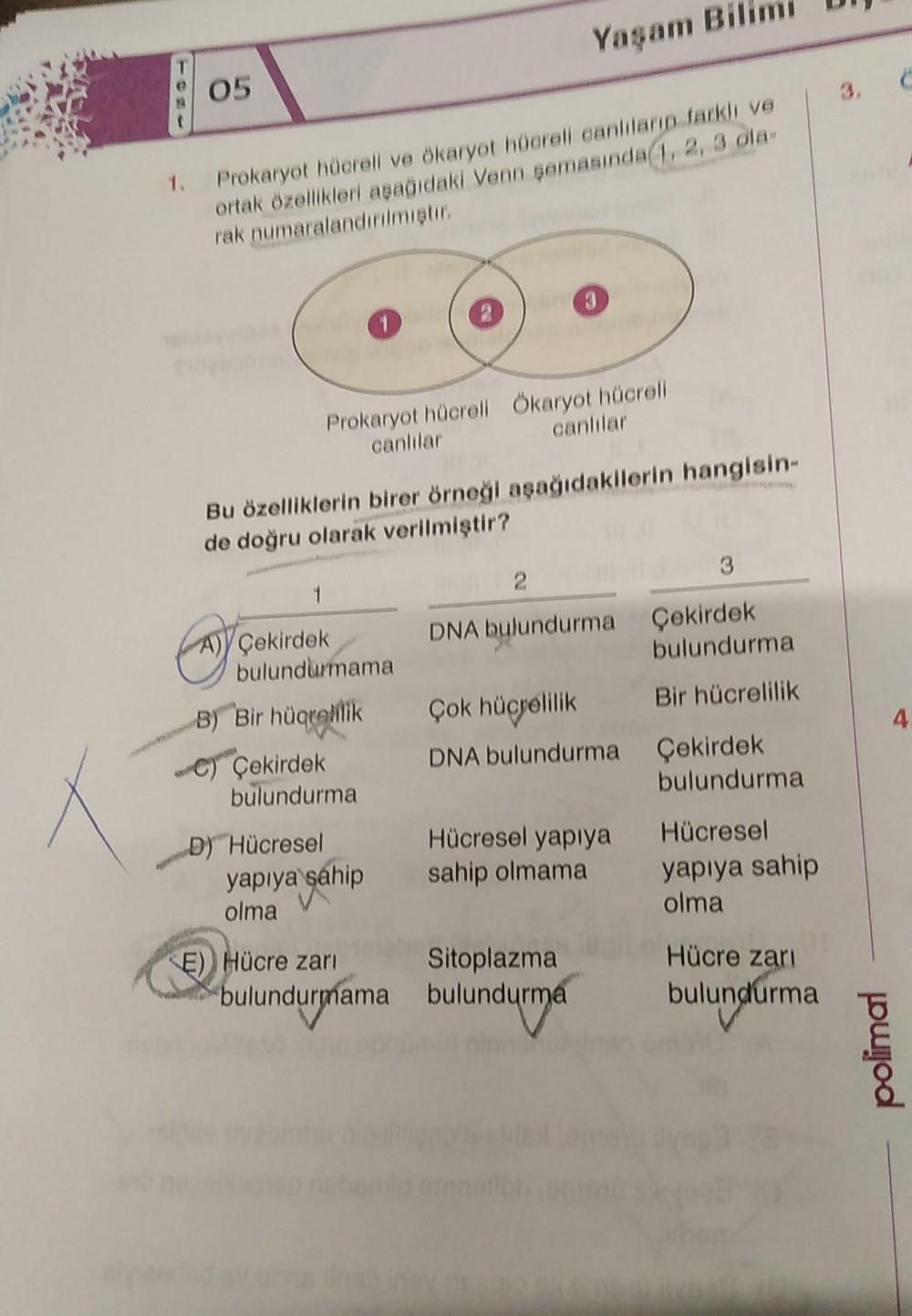 05
Prokaryot hücreli ve ökaryot hücreli canlıların farklı ve
ortak özellikleri aşağıdaki Venn şemasında 1, 2, 3 ola-
rak numaralandırılmıştır.
Exy
shands
1
A) Çekirdek
bulundurmama
B) Bir hüqrellik
D) Hücresel
Bu özelliklerin birer örneği aşağıdakilerin ha