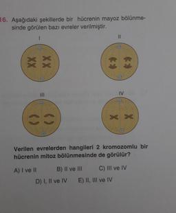 16. Aşağıdaki şekillerde bir hücrenin mayoz bölünme-
sinde görülen bazı evreler verilmiştir.
=
()
(8
A) I ve II
IV
XX
Verilen evrelerden hangileri 2 kromozomlu bir
hücrenin mitoz bölünmesinde de görülür?
B) II ve III
D) I, II ve IV E) II, III ve IV
C) III ve IV