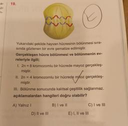 sa-
IZI
n-
19.
C
Yukarıdaki şekilde hayvan hücresinin bölünmesi sıra-
sında gözlenen bir evre şematize edilmiştir.
Gerçekleşen hücre bölünmesi ve bölünmenin ev-
releriyle ilgili;
1. 2n = 8 kromozomlu bir hücrede mayoz gerçekleş-
miştir.
II. 2n = 4 kromozomlu bir hücrede mitoz gerçekleş-
miştir.
III. Bölünme sonucunda kalıtsal çeşitlilik sağlanmaz.
açıklamalardan hangileri doğru olabilir?
A) Yalnız I
B) I ve II
D) II ve III
C) I ve III
E) I, II ve III