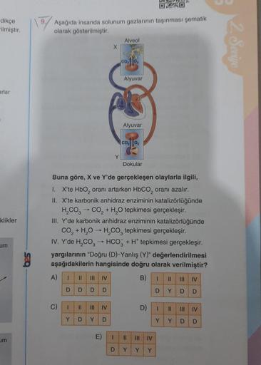dikçe
ilmiştir.
arlar
klikler
um
um
OXO
Aşağıda insanda solunum gazlarının taşınması şematik
olarak gösterilmiştir.
A)
C)
1 ||
D D
I
Y
||
D
D
|||
Y
IV
D
Buna göre, X ve Y'de gerçekleşen olaylarla ilgili,
1. X'te HbO₂ oranı artarken HbCO₂ oranı azalır.
II. 