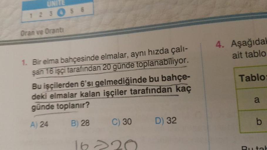 UNITE
1 2 3
Oran ve Oranti
56
1. Bir elma bahçesinde elmalar, aynı hızda çalı-
şan 16 işçi tarafından 20 günde toplanabiliyor.
Bu işçilerden 6'sı gelmediğinde bu bahçe-
deki elmalar kalan işçiler tarafından kaç
günde toplanır?
A) 24
B) 28
16
C) 30
D) 32
4.