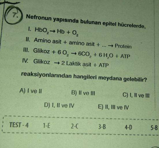 7.
Nefronun yapısında bulunan epitel hücrelerde,
I. HbO₂ → Hb + 0₂
II. Amino asit + amino asit + →Protein
III. Glikoz + 60, 6CO₂ + 6H₂O + ATP
IV. Glikoz → 2 Laktik asit + ATP
reaksiyonlarından hangileri meydana gelebilir?
A) I ve II
: TEST-4
-->>
1-E
B) II