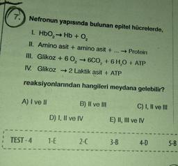 7.
Nefronun yapısında bulunan epitel hücrelerde,
I. HbO₂ → Hb + 0₂
II. Amino asit + amino asit + →Protein
III. Glikoz + 60, 6CO₂ + 6H₂O + ATP
IV. Glikoz → 2 Laktik asit + ATP
reaksiyonlarından hangileri meydana gelebilir?
A) I ve II
: TEST-4
-->>
1-E
B) II ve III
D) I, II ve IV
...
2-C
C) I, II ve III
E) II, III ve IV
3-B
4-D
5-B