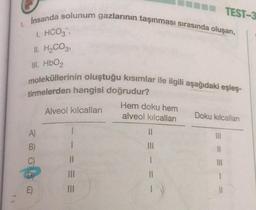 14
1.
İnsanda solunum gazlarının taşınması sırasında oluşan,
1. HCO3,
II. H₂CO3,
Ill. HbO₂
moleküllerinin oluştuğu kısımlar ile ilgili aşağıdaki eşleş-
tirmelerden hangisi doğrudur?
Alveol kılcalları
A)
B)
E)
1
11
|||
TEST-3
Hem doku hem
alveol kılcalları
11
|||
1
Doku kılcalları
